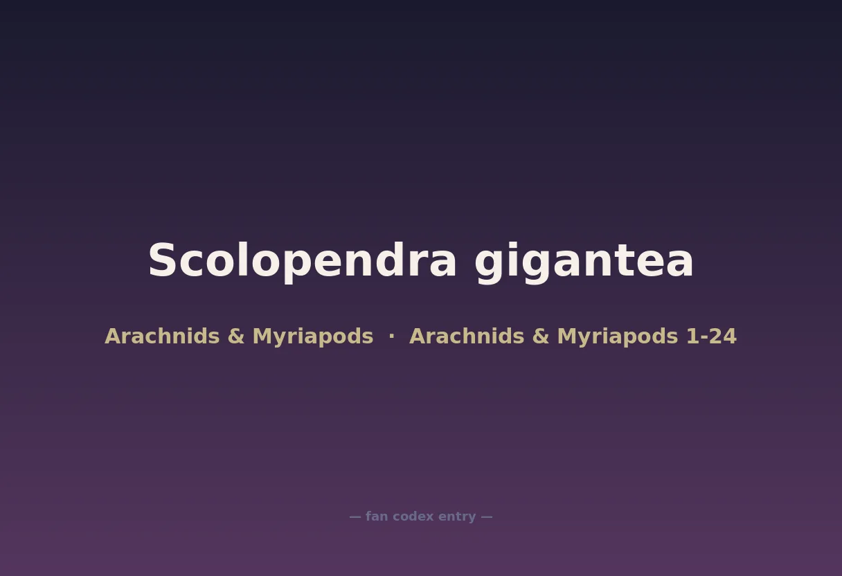Scolopendra gigantea